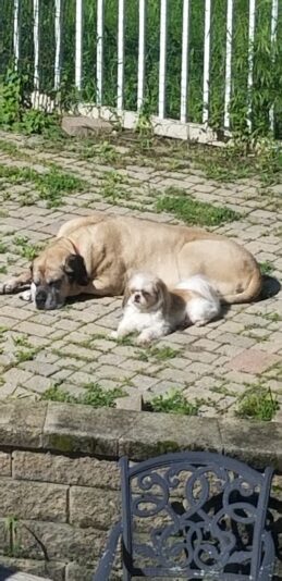 Resized_20220609_092309