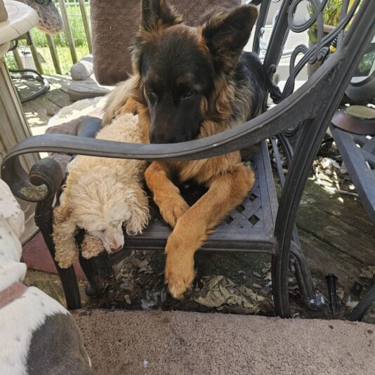 Resized_Resized_20240519_132133_1716177092284_1716177100652