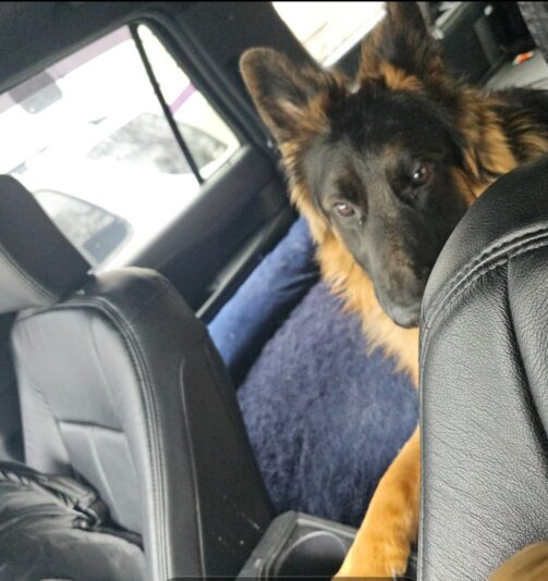 Screenshot_20240609_162324_Gallery