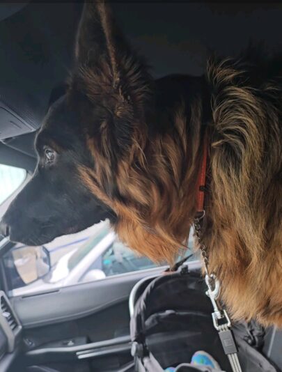 Screenshot_20240609_162339_Gallery