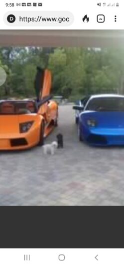 Screenshot_20220301-215816_DuckDuckGo