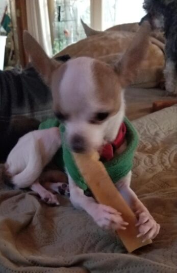 Resized_20220221_135427_836179037221227001