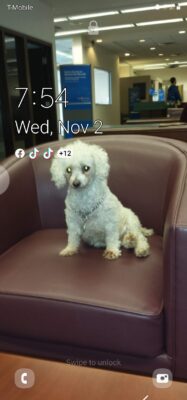 Screenshot_20221102-195425_Email