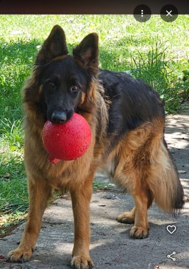 Screenshot_20240812_224733_Maps