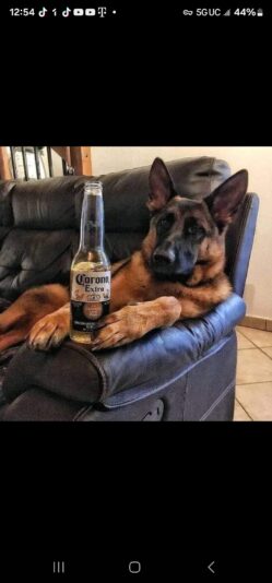 Screenshot_20231213_005457_Facebook