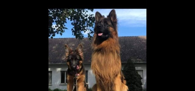 Screenshot_20231217_232957_Gallery