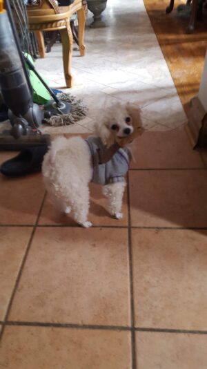 0a57874f-e502-4a6d-8161-84a7fcb34386-1_all_7227