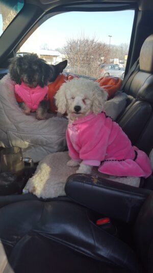 0a57874f-e502-4a6d-8161-84a7fcb34386-1_all_7226