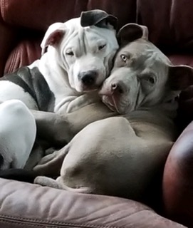 0a57874f-e502-4a6d-8161-84a7fcb34386-1_all_1221