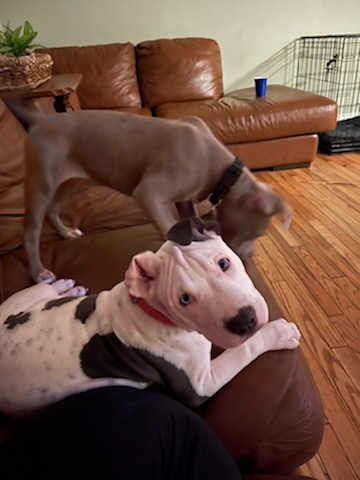 0a57874f-e502-4a6d-8161-84a7fcb34386-1_all_1218