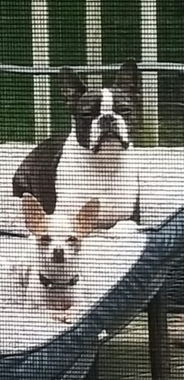 0a57874f-e502-4a6d-8161-84a7fcb34386-1_all_1373