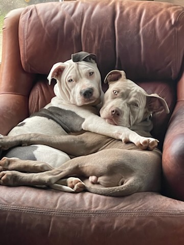 0a57874f-e502-4a6d-8161-84a7fcb34386-1_all_1219