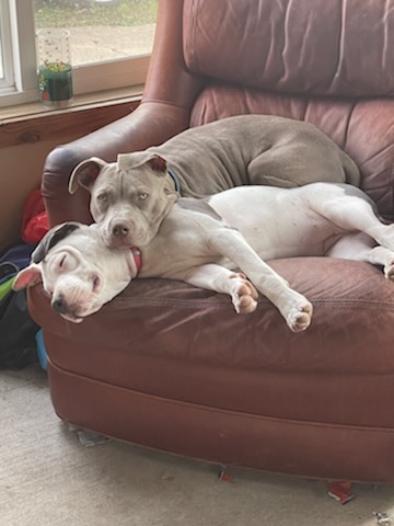 0a57874f-e502-4a6d-8161-84a7fcb34386-1_all_1220