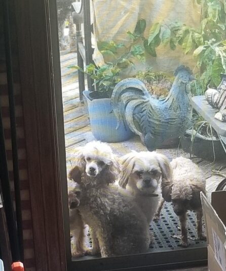 0a57874f-e502-4a6d-8161-84a7fcb34386-1_all_1623