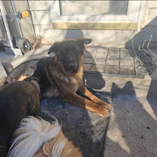 Screenshot_20250318_201927_Gallery_154026714039887