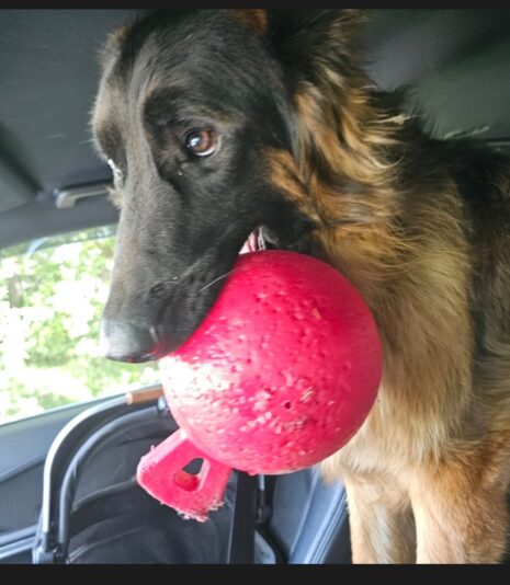 0a57874f-e502-4a6d-8161-84a7fcb34386-1_all_3649