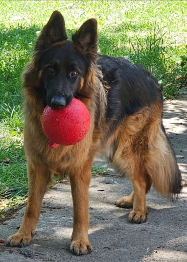 0a57874f-e502-4a6d-8161-84a7fcb34386-1_all_3655