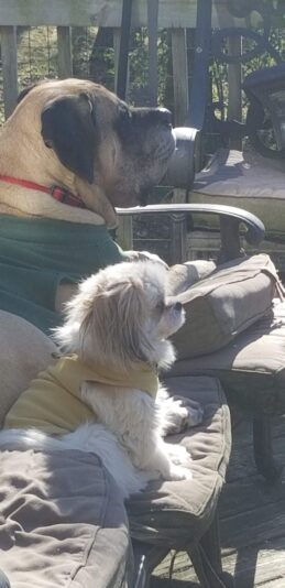 0a57874f-e502-4a6d-8161-84a7fcb34386-1_all_2085