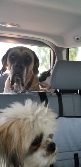 0a57874f-e502-4a6d-8161-84a7fcb34386-1_all_2081