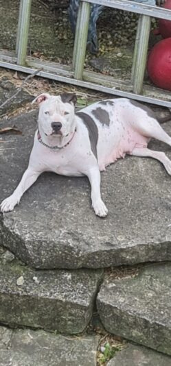 0a57874f-e502-4a6d-8161-84a7fcb34386-1_all_1256