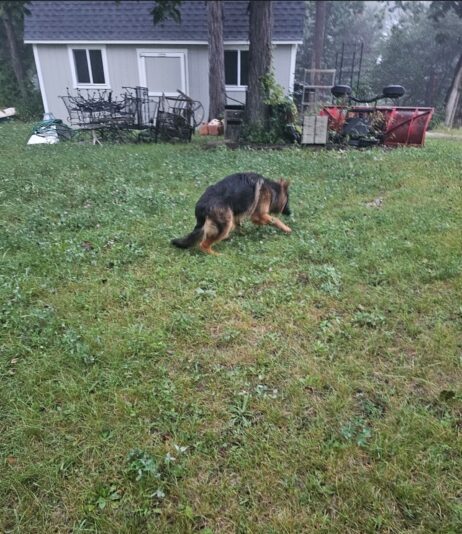 Screenshot_20250403_174637_Messages