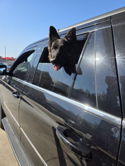 d77ad0c6-c3dc-42c5-a713-8efb6157ff51-1_all_330