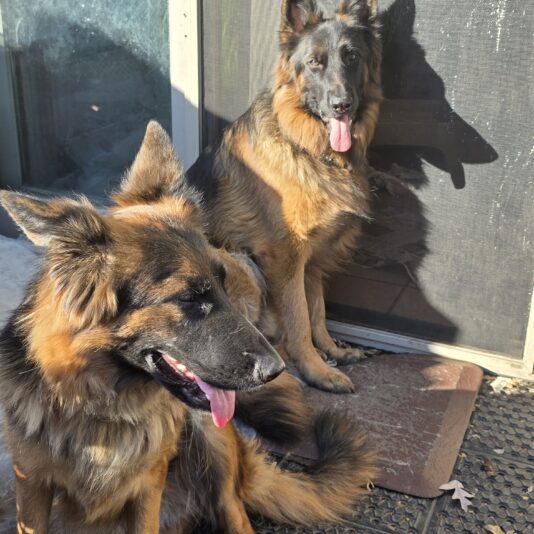 d77ad0c6-c3dc-42c5-a713-8efb6157ff51-1_all_771