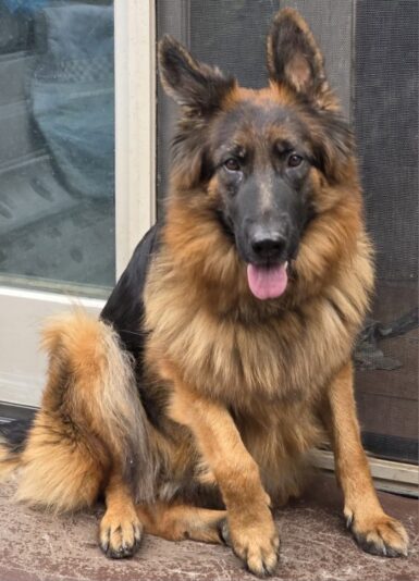 IMG_20250916_104135 (1)