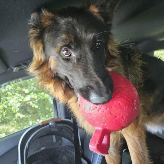 d77ad0c6-c3dc-42c5-a713-8efb6157ff51-1_all_16