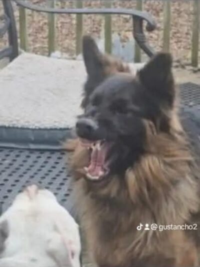 5304