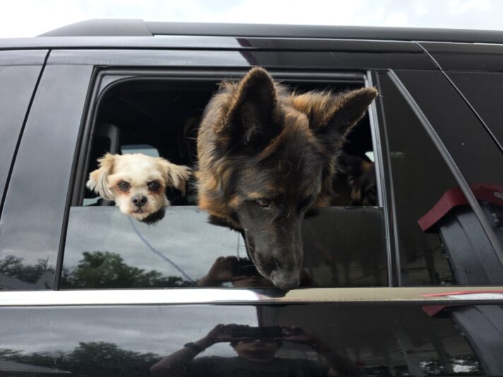 10810
