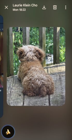 13303
