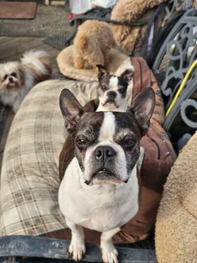 406bc534-e4a7-4975-a84a-2d58b7c092c4-1_all_1044