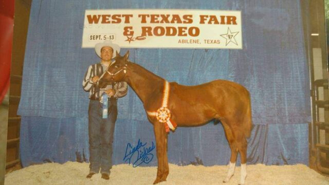 FB_IMG_1655416409794