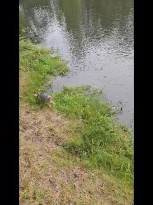 20230807_021139_208902843334058