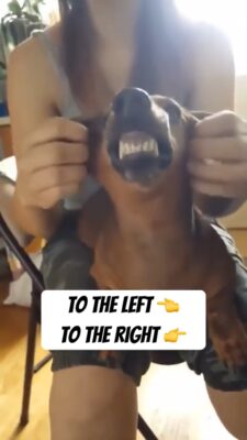 2_5460883327240126366.mp4