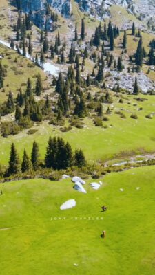 4_6037139385697178610.mp4