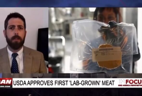 7826538485439759333.mp4(1)