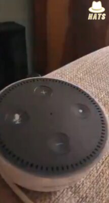 2_5246851418819673784.mp4