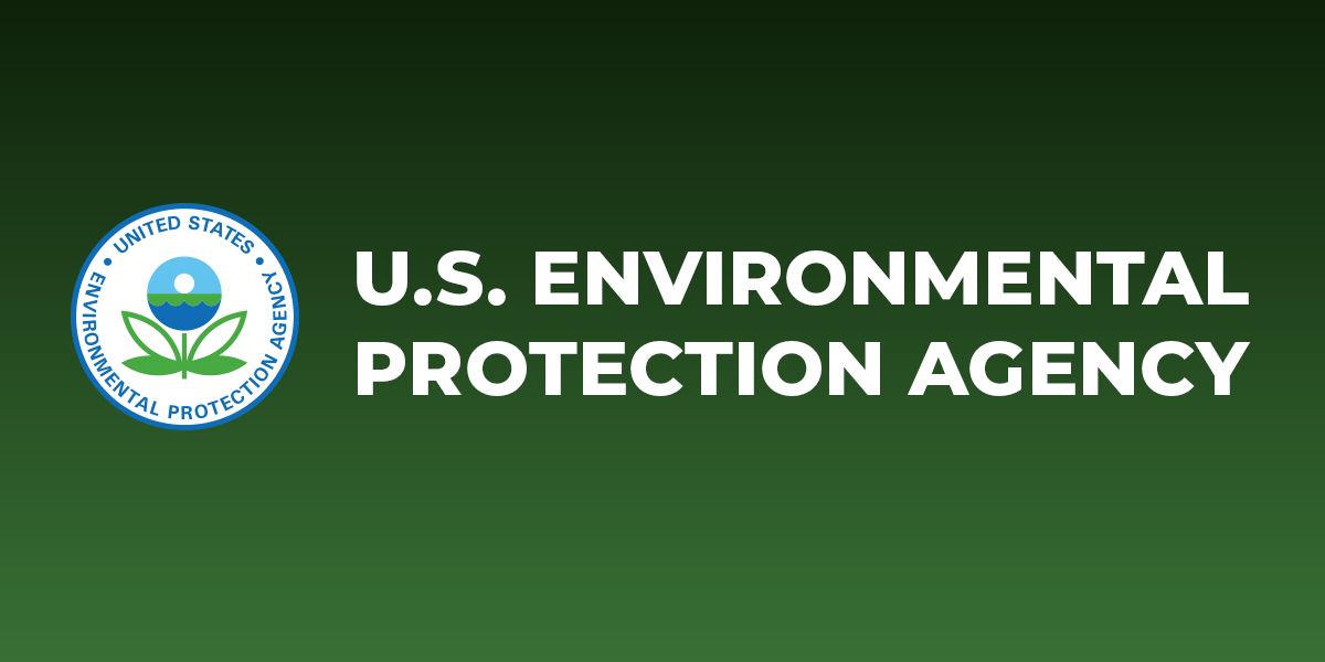 Lisa Jones 7 epa standard twitter