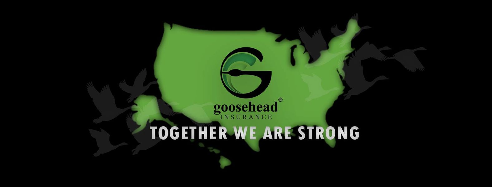 140176417 10158979995141575 4137810612977607429 n