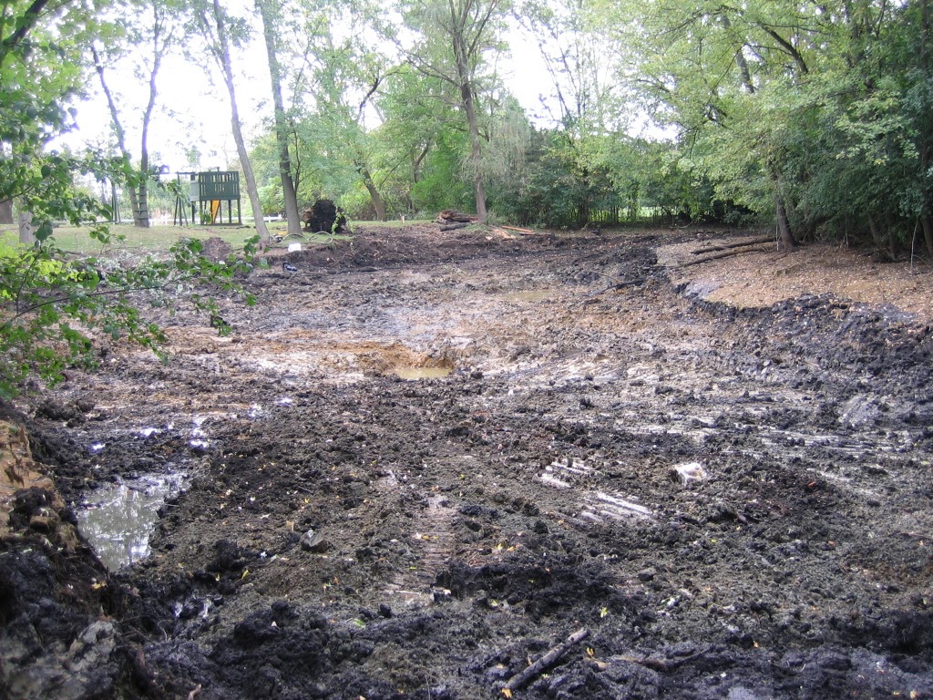 IMG 2781 23384518220582