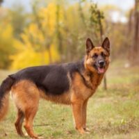 Thumbnail for the listing's main image