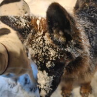 Thumbnail for the listing's main image