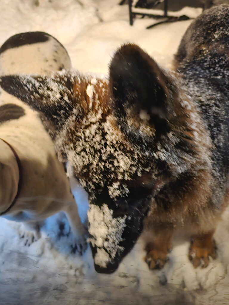 image0000011 1542182005023661 4f129fd9