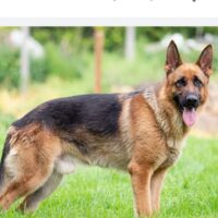 Thumbnail for the listing's main image