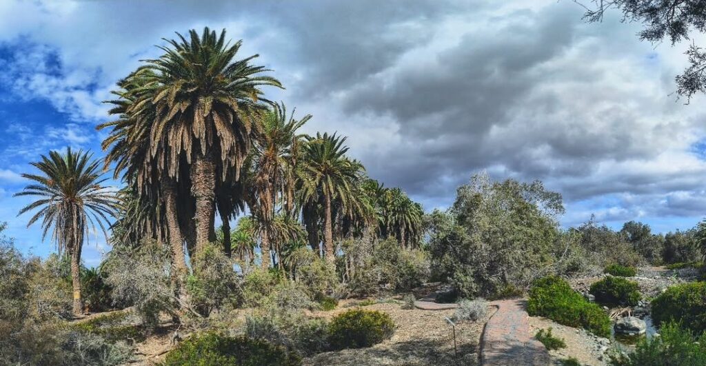 screenshot 20250503 230938 instagram 2bbaaed0