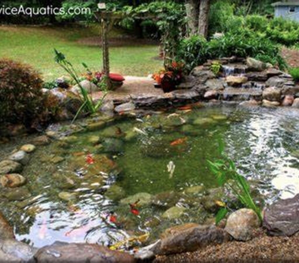 screenshot 20250613 095700 gallery b00fe4f6