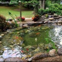 Thumbnail for the listing's main image