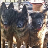 Thumbnail for the listing's main image